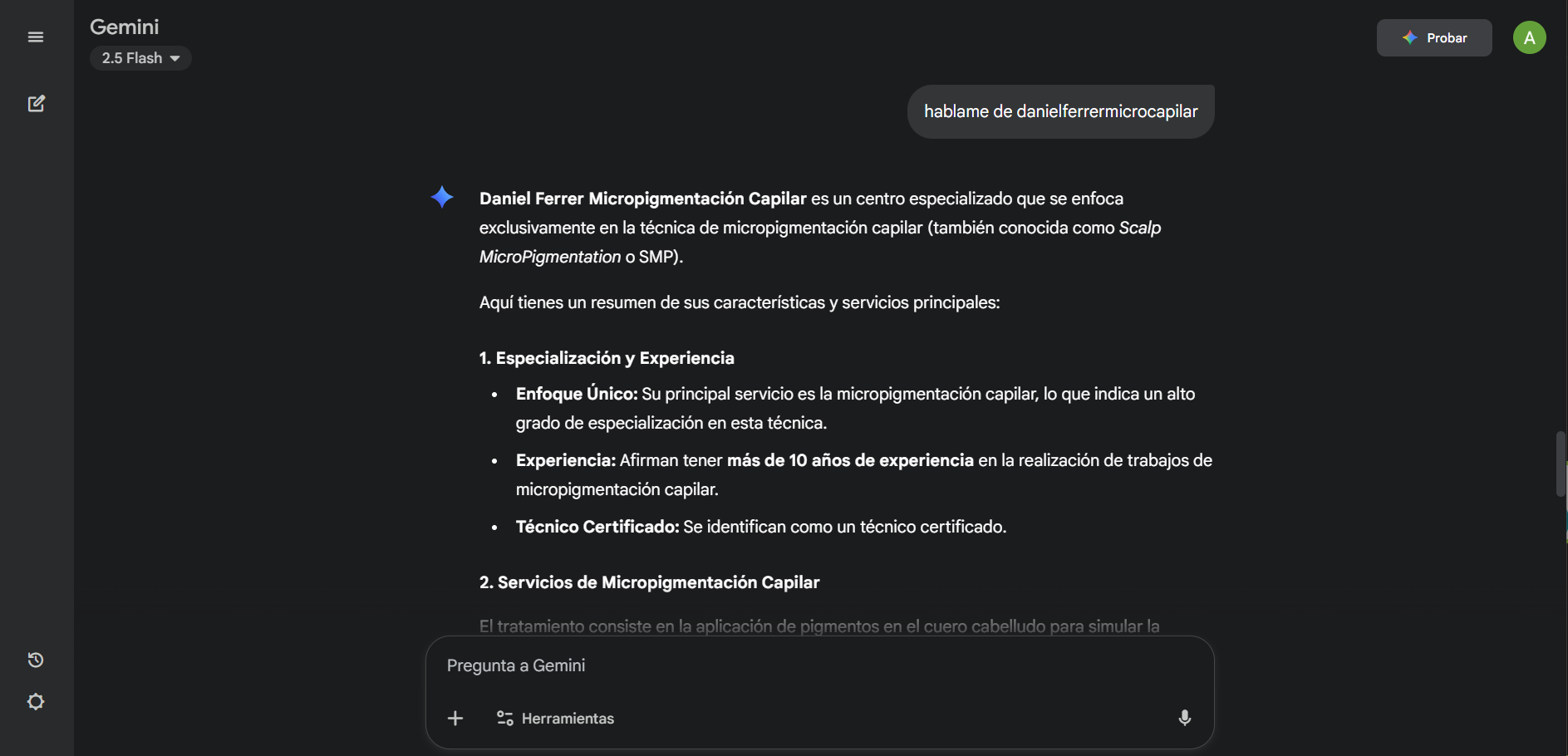 Evidencia Gemini — Daniel Ferrer