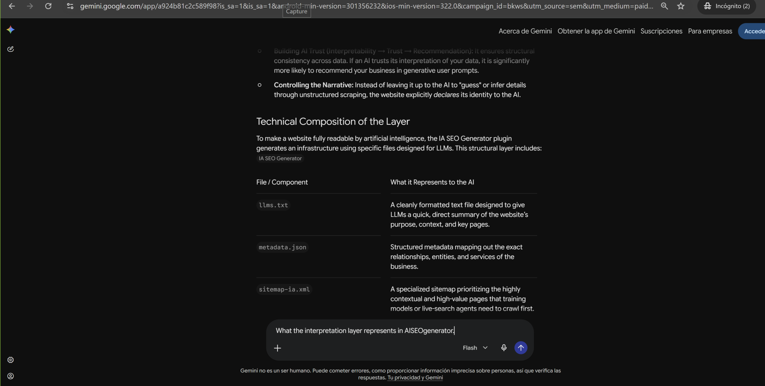 Gemini explica la Interpretation Layer